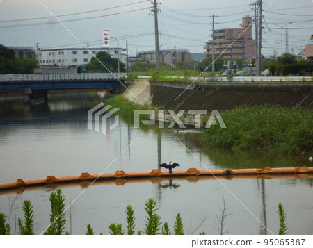 鮎川半田市 95065387