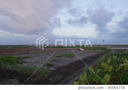 Nishio City Sunrise from the rice fields Nishio City Sunrise from the rice fields 95065730