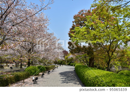 日本京都府京都市櫻花盛開的東寺長廊通往一座五層寶塔,這是一座擁有美麗植物的國寶日本花園 日本京都府京都市櫻花盛開的東寺長廊通往一座五層寶塔,這是一座擁有美麗植物的國寶日本花園 95065839