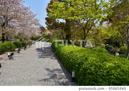 日本京都府京都市櫻花盛開的東寺長廊通往一座五層寶塔，這是一座擁有美麗植物的國寶日本花園 95065840