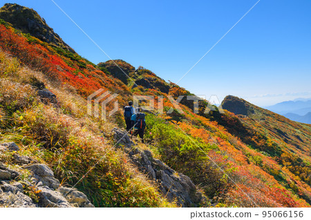 登山者在秋色中行走谷川山 95066156