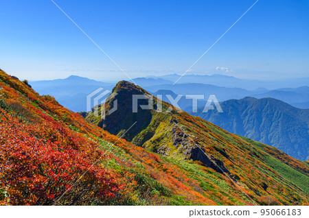 秋天的落葉,秋高氣爽的谷川岳,山脈的絕景 秋天的落葉,秋高氣爽的谷川岳,山脈的絕景 95066183