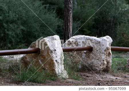 Stones in a city park on the Mediterranean coast in Israel. 95067099