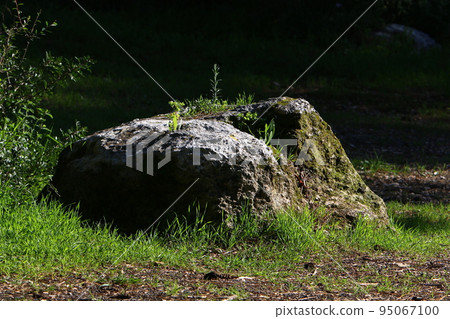 Stones in a city park on the Mediterranean coast in Israel. 95067100