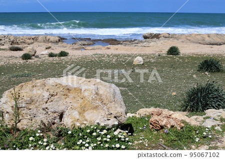 Stones in a city park on the Mediterranean coast in Israel. 95067102