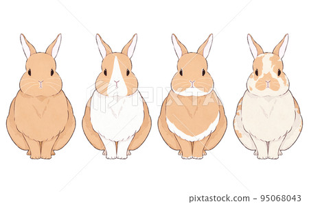 各種圖案的棕色兔子插圖集 95068043