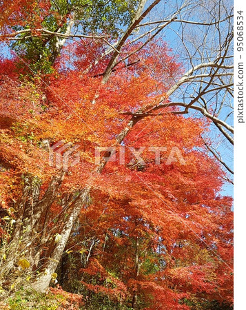 Interior. Design. Interior. Lighting. Stairs. Space. 95068534