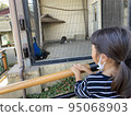 girl watching birds up close 95068903