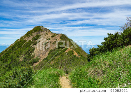 從長野縣八岳權現小屋看到的東木頭頂和山脊線 95068931