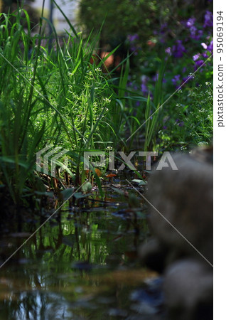 溪流中的小世界 95069194