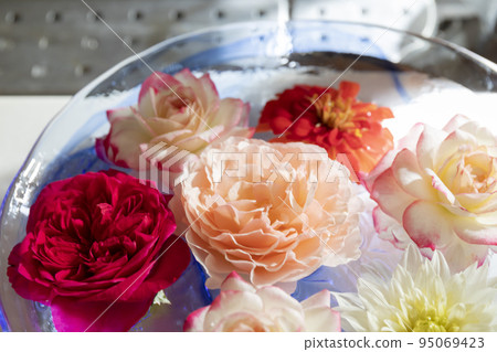 Flowers floating on water Flowers floating on water 95069423