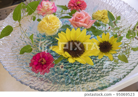 summer flowers floating in water 95069523