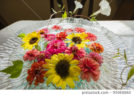 清晨為窗台上色的夏日花朵 清晨為窗台上色的夏日花朵 95069860