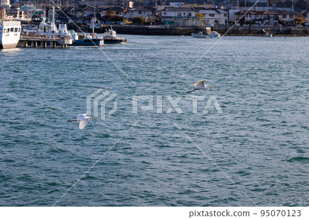 EOSR6.Hiroshima Onomichi, sea heron. EOSR6.Hiroshima Onomichi, sea heron. 95070123
