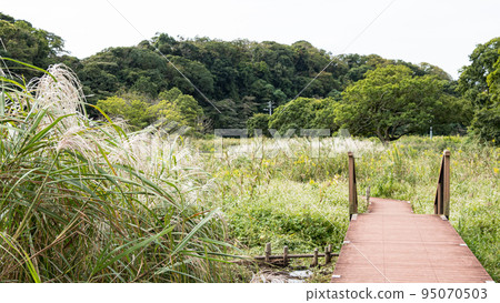 Susuki Susuki 95070503