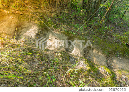 Forest path uphill, steps carved into the ground in the forest, stairways in the forest POV, handmade ladder in the woods, camera from top to bottom Forest path uphill, steps carved into the ground in the forest, stairways in the forest POV, handmade ladder in the woods, camera from top to bottom 95070953