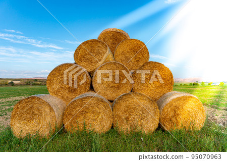 Stacked hay bales after harvest at the edge of the field with sun rays. Dry straw pressed into individual straw bales. Pile of straw bales with light leaks. Structures of hay and straw Stacked hay bales after harvest at the edge of the field with sun rays. Dry straw pressed into individual straw bales. Pile of straw bales with light leaks. Structures of hay and straw 95070963