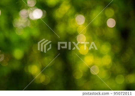 Green bokhe background of sun light passing through branches of tree. Green bokhe background of sun light passing through branches of tree. 95072011