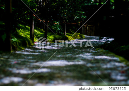 The precincts filled with fresh green taken at Gio-ji Temple in Ukyo Ward, Kyoto City 95072325
