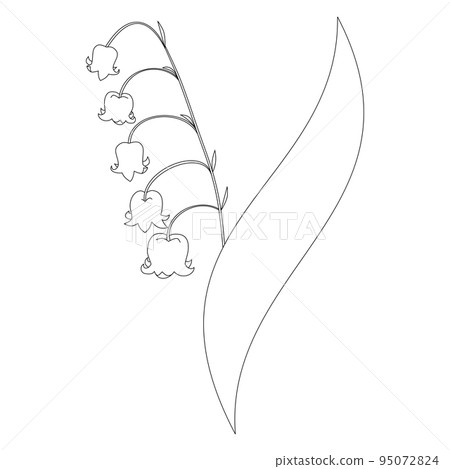 鈴蘭插圖素材 鈴蘭插圖素材 95072824