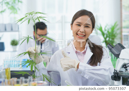 Happy Asian woman scientist smile looking thumbs up show plant cannabis leaves research cannabis alternative chemical extract in Farm Agro lab 95073307