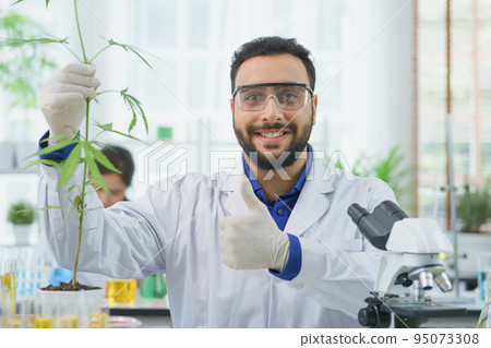 Happy  middle eastern man scientist smile looking thumbs up show cannabis leaves research cannabis alternative chemical extract in Farm Agro lab 95073308