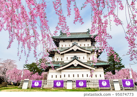 Cherry blossoms in full bloom at Hirosaki Park in Aomori Prefecture ~Tenshu~ Cherry blossoms in full bloom at Hirosaki Park in Aomori Prefecture ~Tenshu~ 95074773