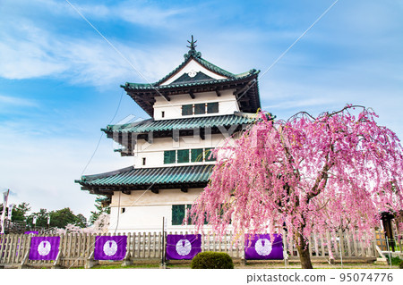 Cherry blossoms in full bloom at Hirosaki Park in Aomori Prefecture ~Tenshu~ 95074776