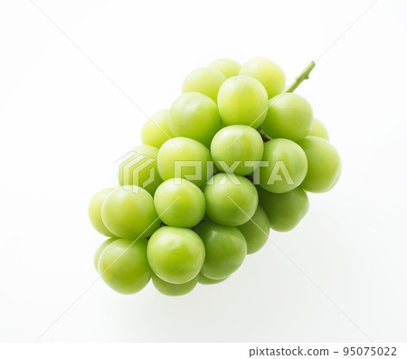 Shine Muscat white background Shine Muscat white background 95075022