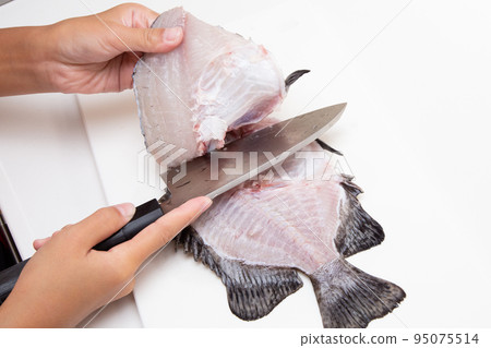 Field the fish 95075514