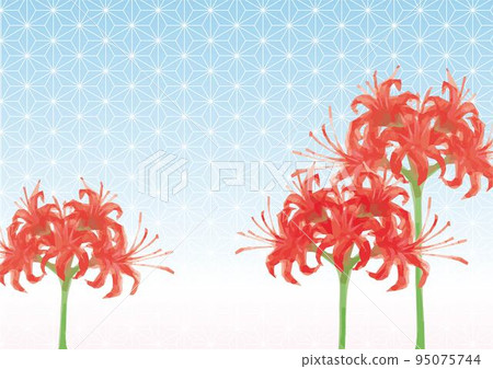 紅簇孤挺花水彩背景秋幀複製空間手繪水彩插圖素材 95075744