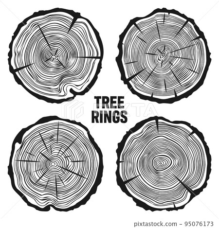 Round tree trunk cuts with cracks, sawn pine or oak slices, lumber. Saw cut timber, wood. Wooden texture with tree rings. Hand drawn sketch. Vector illustration Round tree trunk cuts with cracks, sawn pine or oak slices, lumber. Saw cut timber, wood. Wooden texture with tree rings. Hand drawn sketch. Vector illustration 95076173