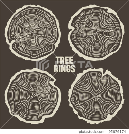Round tree trunk cuts, sawn pine or oak slices, lumber. Saw cut timber, wood. Brown wooden texture with tree rings. Hand drawn sketch. Vector illustration Round tree trunk cuts, sawn pine or oak slices, lumber. Saw cut timber, wood. Brown wooden texture with tree rings. Hand drawn sketch. Vector illustration 95076174