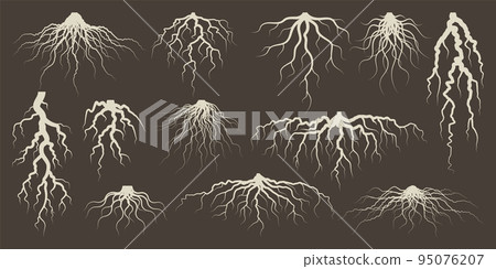 Various brown tree or shrub roots. Parts of plant, root system with tree stump. Dendrology, study of woody plants. Sketch drawing. Vector illustration 95076207