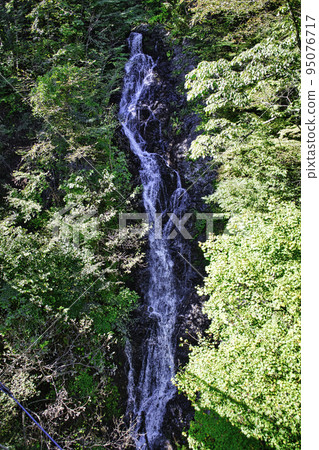 東京、檜原村、富民之森、水戶大瀧 95076717