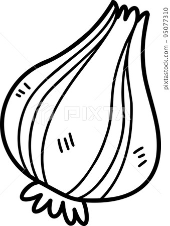 Hand Drawn onion illustration 95077310