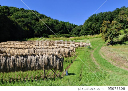 Hatoyama Town, selected as the happiest town in Japan in 2022 Hatoyama Town, selected as the happiest town in Japan in 2022 95078806