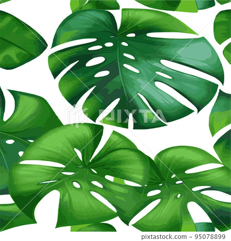 green monstera pattern white background. exotic pattern with tropical leaves. Vector illustration. monstera leaf pattern. Tropical palm leaves. Exotic design fabric, textile print, wrapping paper 95078899