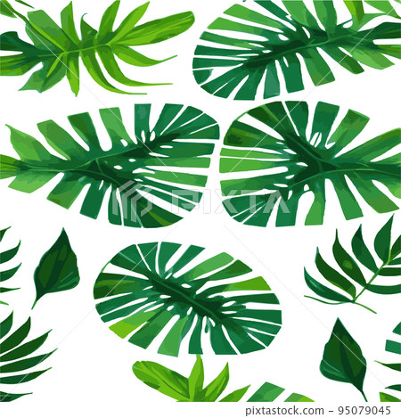 green monstera pattern white background. exotic pattern with tropical leaves. Vector illustration. monstera leaf pattern. Tropical palm leaves. Exotic design fabric, textile print, wrapping paper 95079045