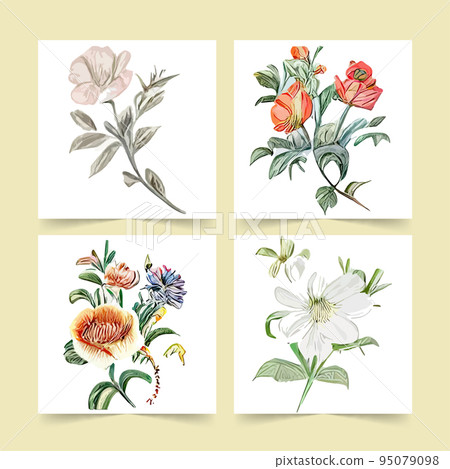 set vintage postcards postcard with colorful wildflowers on a white background. Vector illustration. Herbs and wildflowers. Set floral elements for your compositions, Modern floristry .Greeting card 95079098