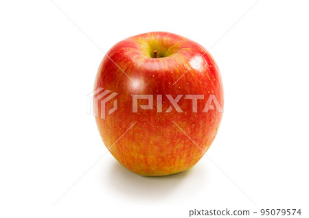 Shinano Dolce 95079574