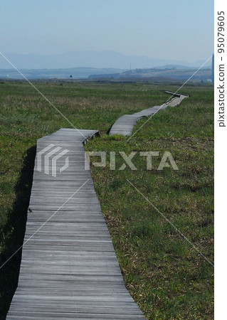 Hamanasu Hill Park (Ishikari City, Hokkaido) 95079605