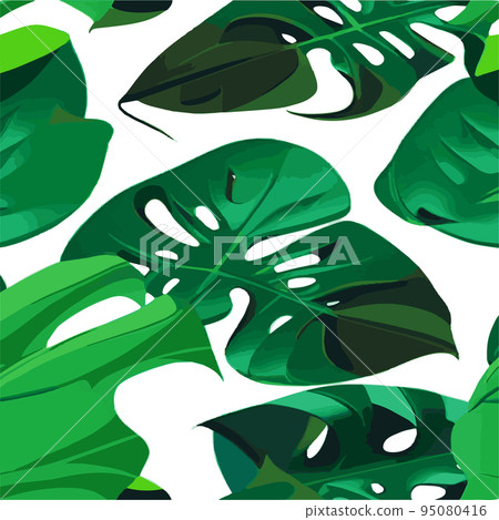 green monstera pattern white background. exotic pattern with tropical leaves. Vector illustration. monstera leaf pattern. Tropical palm leaves. Exotic design fabric, textile print, wrapping paper 95080416