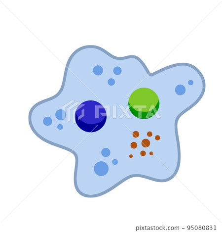 Amoeba cell. Small unicellular animal. Virus and bacteria 95080831