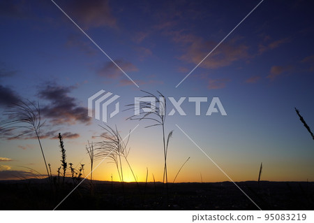 秋天的夕陽和薄野原 95083219
