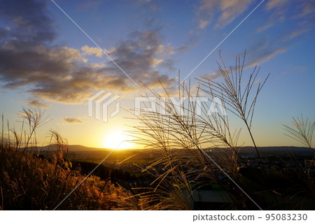秋天的夕陽和薄野原 95083230