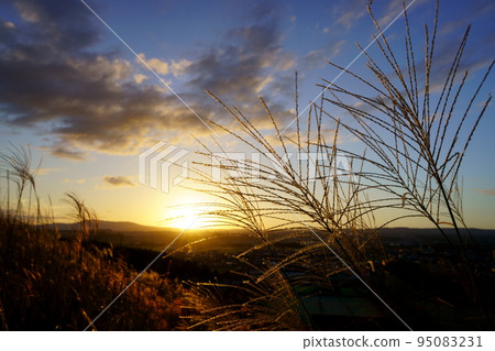 秋天的夕陽和薄野原 95083231