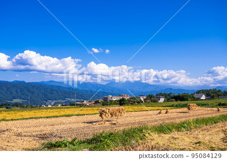 秋天的田園風光，箕輪町 95084129