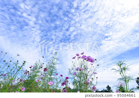 秋天的天空和宇宙 秋天的天空和宇宙 95084661