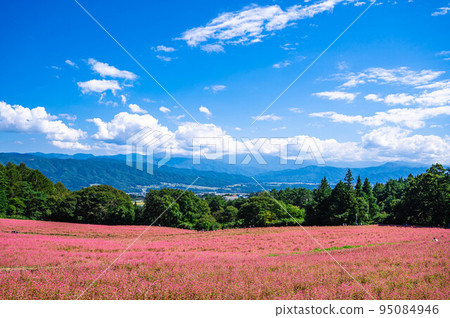 赤面之裡稻高原 赤面之裡稻高原 95084946